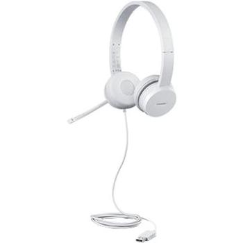 Lenovo 110 Stereo USB Headset (GXD1E71385)