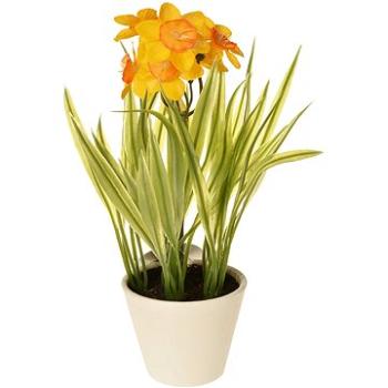 EverGreen Narcis v květináči , výška 22 cm, barva žluto-oranžová (780092-35)