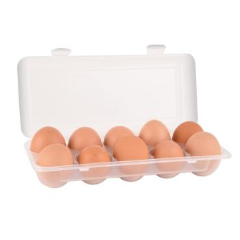 Box na vajíčka plast na 10 ks - ORION