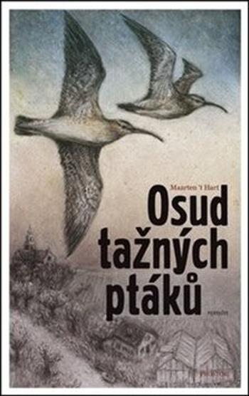 Osud tažných ptáků - Maarten´t Hart, Lukáš Vítek