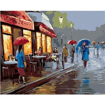 Malování podle čísel - Deštivý den ve městě (HRAbz33532nad)
