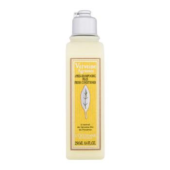 L'Occitane Citrus Verbena Fresh Shampoo 250 ml kondicionér pro ženy na všechny typy vlasů