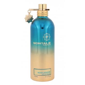Montale Aoud Lagoon 100 ml parfémovaná voda unisex