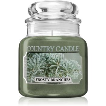 Country Candle Frosty Branches vonná svíčka 104 g