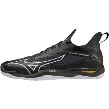 Mizuno WAVE MIRAGE 4 Pánská sálová obuv, černá, velikost 44.5