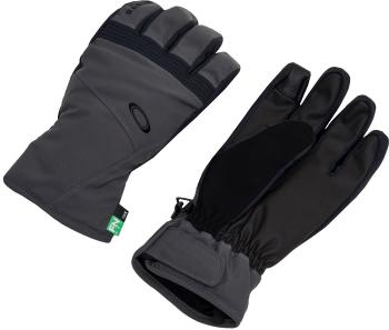 Oakley Roundhouse Glove - forged iron XL