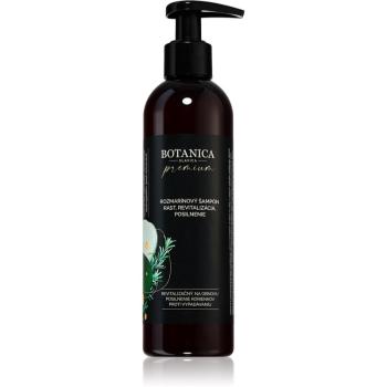 Soaphoria Botanica Slavica Rosemary intenzivní šampon pro růst vlasů a posílení od kořínků 250 ml