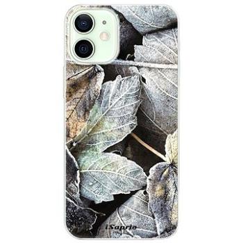 iSaprio Old Leaves 01 pro iPhone 12 (oldle01-TPU3-i12)