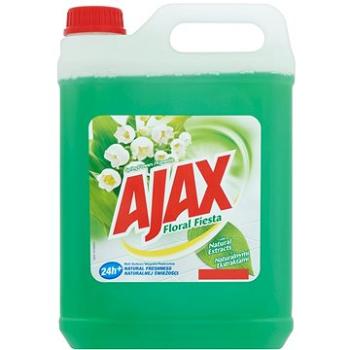 AJAX Floral Fiesta Flower of Spring zelený 5 l (5900273462350)