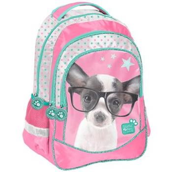 Školní batoh Čivava s brýlemi (5903162078441)