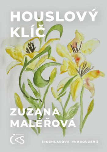 Houslový klíč - Zuzana Maléřová - e-kniha