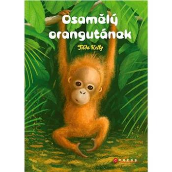 Osamělý orangutánek (978-80-264-4097-0)