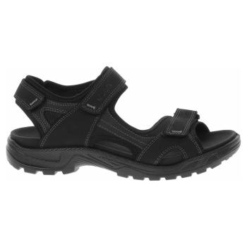 Pánské sandály Ecco 69000451094 black-black
