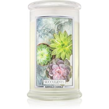 Kringle Candle Succulents vonná svíčka 624 g