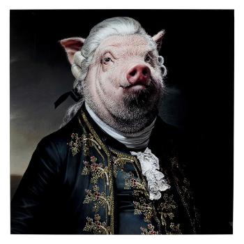 Skleněný obraz Gentleman Pig 120×120 cm