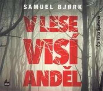 V lese visí anděl - Bjork Samuel
