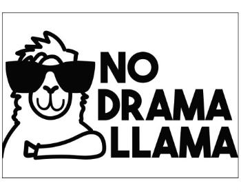 Plakát typ A4-A0 No drama llama