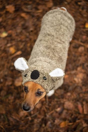 Vsepropejska Molly fleecová mikina pro psa s ušima Barva: Hnědá, Délka zad (cm): 28, Obvod hrudníku: 42 - 48 cm