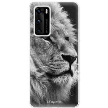 iSaprio Lion 10 pro Huawei P40 (lion10-TPU3_P40)