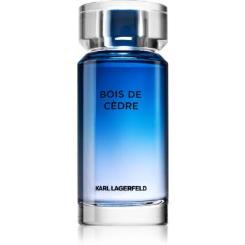 Karl Lagerfeld Bois De Cèdre toaletní voda pro muže 100 ml