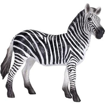 Mojo - Zebra samice (5031923873933)