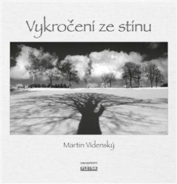 Vykročení ze stínu - Martin Videnský
