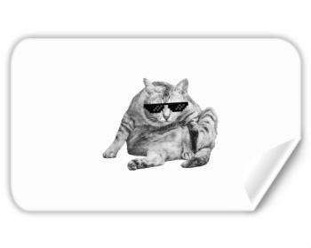 Samolepky obdelník - 5 kusů Drsná kočka