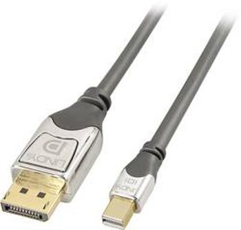 DisplayPort kabel LINDY [1x zástrčka DisplayPort - 1x mini DisplayPort zástrčka] šedá 2.00 m