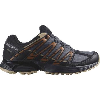 Salomon XT RECKON GTX Pánská trailová obuv, tmavě šedá, velikost 40 2/3