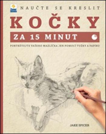 Naučte se kreslit Kočky za 15 minut - Nohavicová Veronika