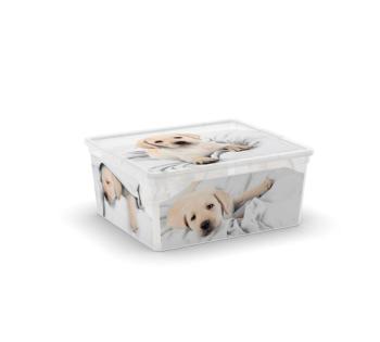 KIS Puppy and Kitten 57495 Plastový box - M