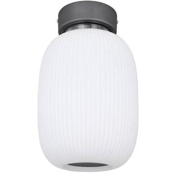 Globo - LED Stropní svítidlo LED/21W/230V (123374)