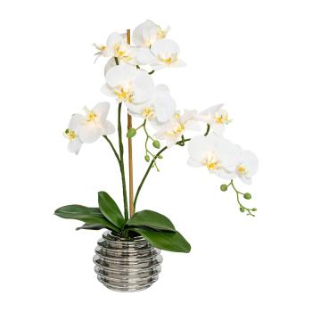 Gasper Umělá květina Orchidej s 9 LED, 60 cm, krémová