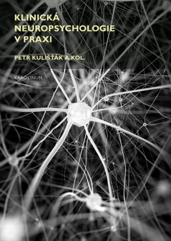 Klinická neuropsychologie v praxi - Petr Kulišťák - e-kniha
