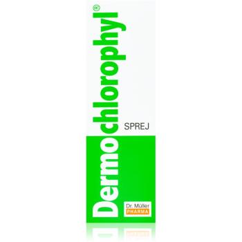 Dr. Müller DermoChlorophyl® sprej urychlující hojení 50 ml
