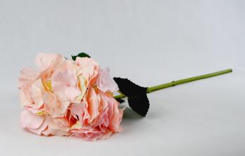 Dekorace růžová hortenzie velkokvětá  - 80 cm 099-19-236