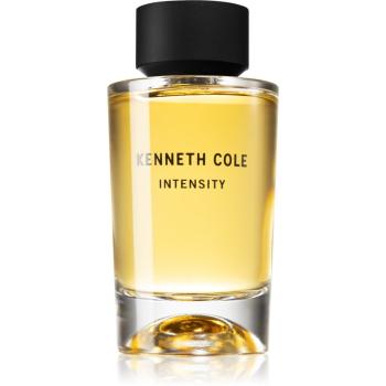 Kenneth Cole Intensity toaletní voda unisex 100 ml