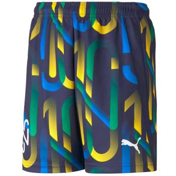 PUMA NEYMAR JR FUTURE PRINTED SHORT 605541-06 Velikost: 176