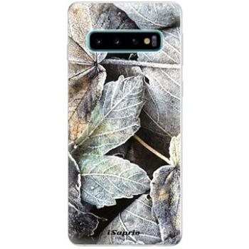iSaprio Old Leaves 01 pro Samsung Galaxy S10 (oldle01-TPU-gS10)