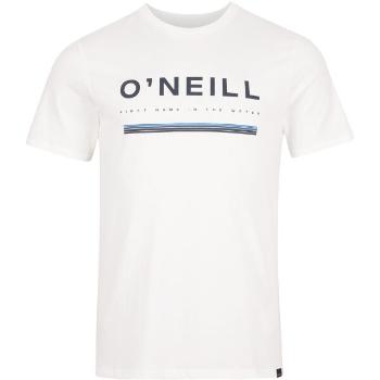 O'Neill ARROWHEAD T-SHIRT Pánské tričko, bílá, velikost XL