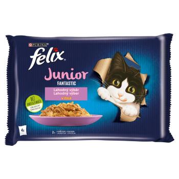 FELIX Fantastic Junior Multipack 4x85g s kuřetem a lososem v želé