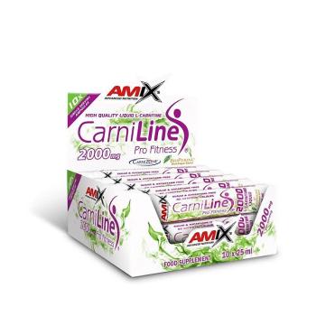 Amix CarniLine ProFitness 2000 Příchuť: Sour Cherry, Balení (ml): 10x25ml