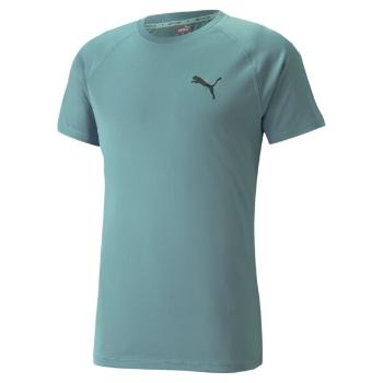 Puma RTG TEE Pánské sportovní triko, modrá, velikost L