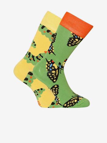 Dedoles Motýl Vidloocas Ponožky Zelená