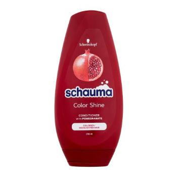 Schwarzkopf Schauma Color Shine Conditioner 250 ml kondicionér pro ženy na barvené vlasy