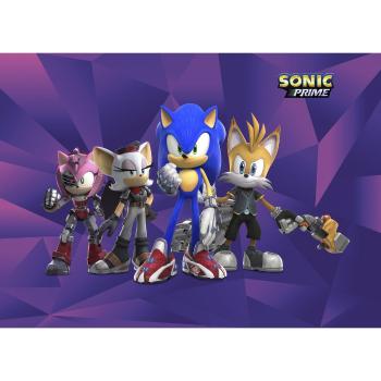 Dětská fototapeta Sonic 254 x 182 cm, 4 díly