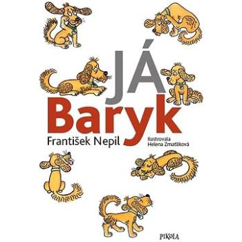 Já Baryk  (978-80-242-7841-4)