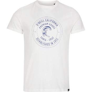 O'Neill EXPLORE T-SHIRT Pánské tričko s krátkým rukávem, bílá, velikost L