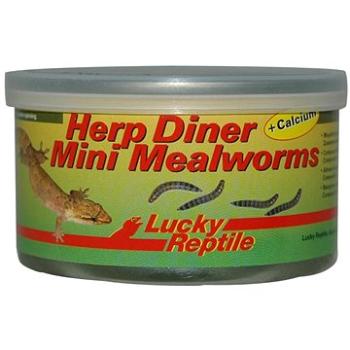 Lucky Reptile Herp Diner mouční červi mini 35 g (4040483673335)