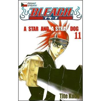 Bleach 11 (978-80-7449-230-3)